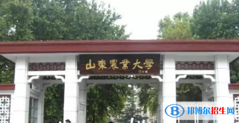 山東農(nóng)業(yè)大學是幾本？是985和211嗎？