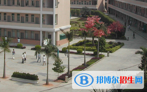 2023年新興理工學(xué)校招生計劃