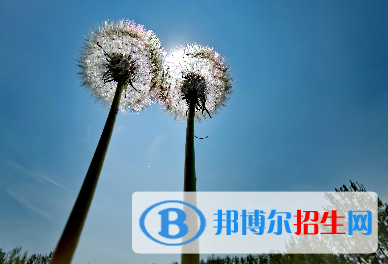 2023年西安經(jīng)開(kāi)職業(yè)學(xué)校有哪些專(zhuān)業(yè)