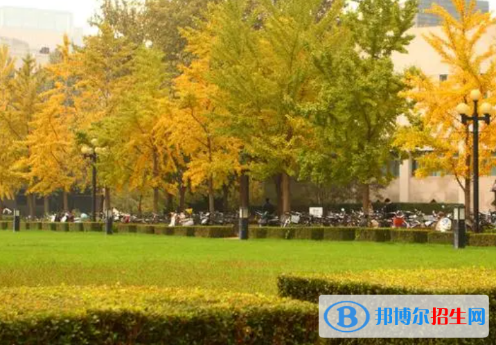高考滿(mǎn)分作文：美麗的秋天（3篇）