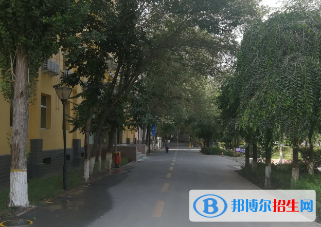 新疆林業(yè)學校怎么樣、好不好(2023參考)