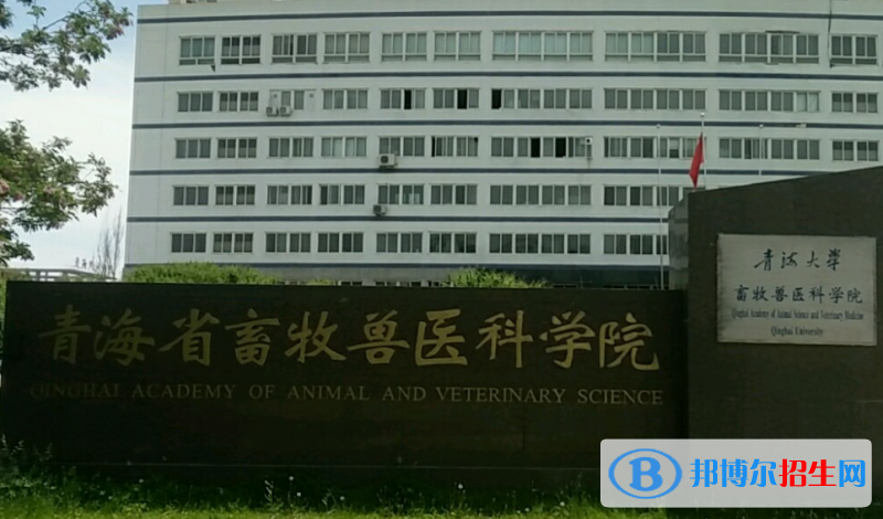 2023青海十大專科院校排名一覽表