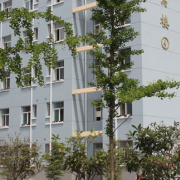 渭南市軌道交通運輸高級技工學校