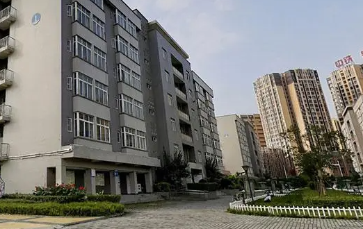 2023年成都金海洋創(chuàng)意產業(yè)職業(yè)技術學校開設的專業(yè)一覽表