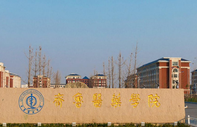 揚州大學(xué)和齊魯醫(yī)藥學(xué)院怎么選？哪個好？附分?jǐn)?shù)線