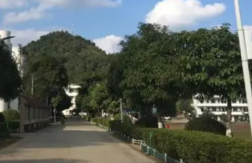 憑祥市中等職業(yè)技術(shù)學(xué)校怎么樣、好不好(2023參考)