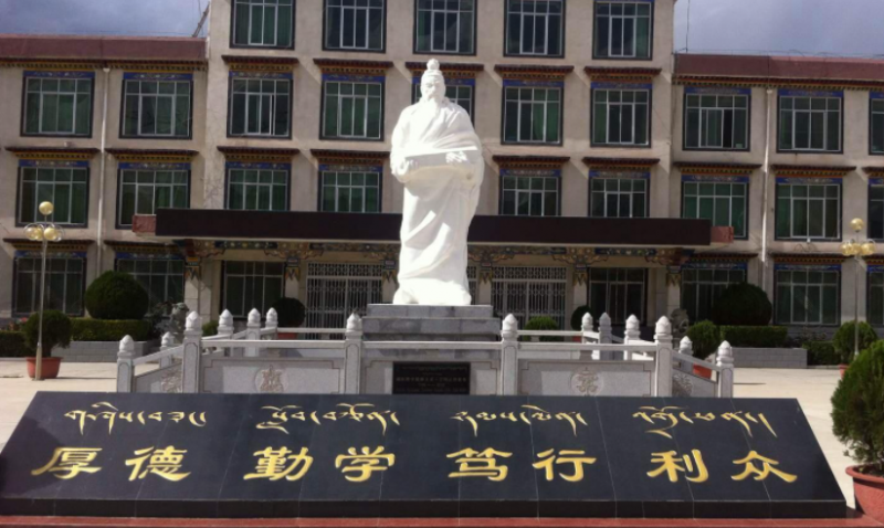 江蘇大學(xué)和西藏藏醫(yī)藥大學(xué)怎么選？哪個(gè)好？附全國排名