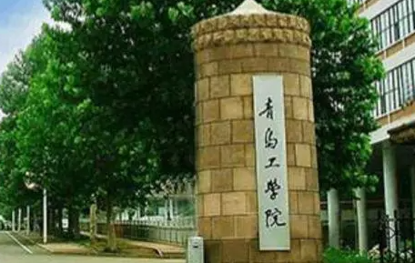山西大學(xué)和青島工學(xué)院怎么選？哪個(gè)好？附分?jǐn)?shù)線
