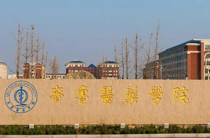 齊魯工業(yè)大學(xué)和齊魯醫(yī)藥學(xué)院怎么選？哪個(gè)好？附分?jǐn)?shù)線