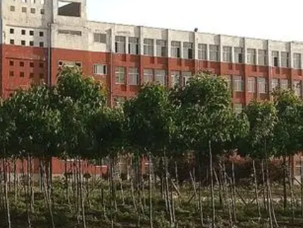 2023周口市聯(lián)營(yíng)職業(yè)中等專業(yè)學(xué)校招生計(jì)劃 招生人數(shù)是多少(附要求、條件、對(duì)象)