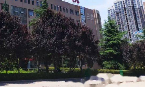 2023西安民辦航空學校有哪些 西安民辦航空學校名單一覽表