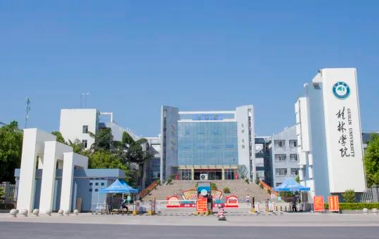 西南財經大學和桂林學院怎么選？哪個好？附分數(shù)線