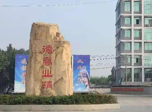 藤縣中等專業(yè)學(xué)校地址在哪里，哪個地區(qū)，哪個城市?