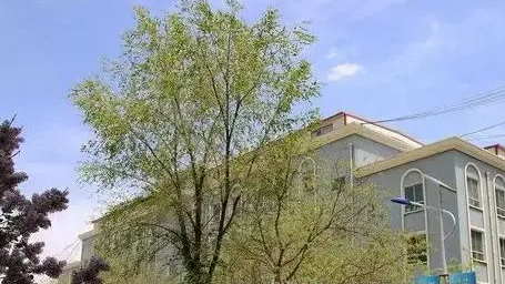 2023蘭州公辦計算機學校有哪些 蘭州公辦計算機學校名單一覽表