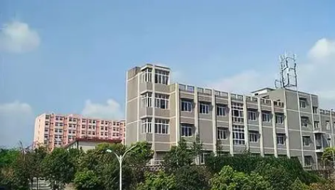 2023南充公辦計算機學校有哪些 南充公辦計算機學校名單一覽表