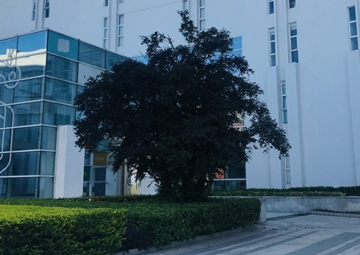 汕頭市科技應(yīng)用職業(yè)技術(shù)學(xué)校地址，乘車路線