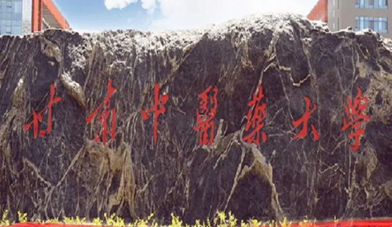 甘肅中醫(yī)藥大學(xué)什么專業(yè)好，甘肅中醫(yī)藥大學(xué)專業(yè)排名