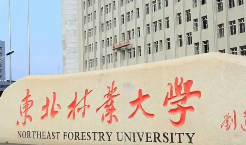 東北林業(yè)大學(xué)什么專(zhuān)業(yè)好，東北林業(yè)大學(xué)專(zhuān)業(yè)排名