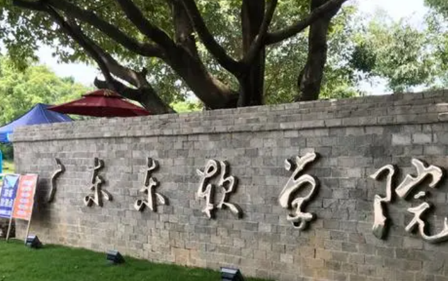廣東東軟學(xué)院什么專業(yè)好，廣東東軟學(xué)院專業(yè)排名