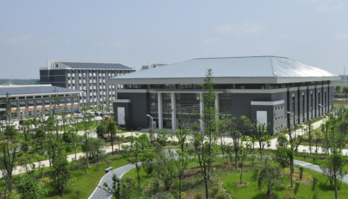 合肥經濟學院什么專業(yè)好，合肥經濟學院專業(yè)排名