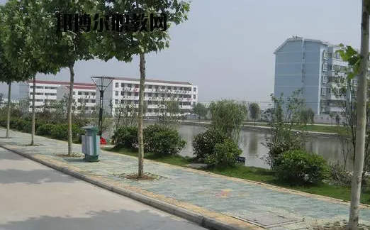 2024合肥新能源汽車學(xué)校有哪些 合肥新能源汽車學(xué)校名單一覽表