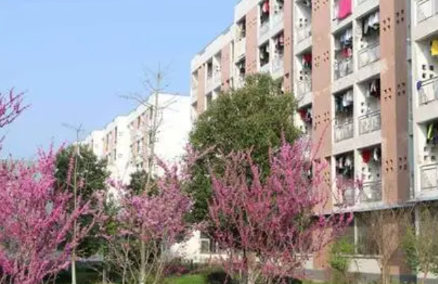 2024六安公辦護理學校有哪些 六安公辦護理學校名單一覽表