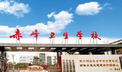 2023赤峰公辦護理學(xué)校有哪些 赤峰公辦護理學(xué)校名單一覽表
