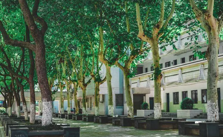 2023南京市第六十六中學招生計劃 招生人數(shù)是多少(附要求、條件、對象)