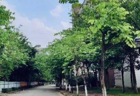 2023湛江排名前八的消防工程技術(shù)學校名單