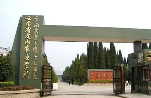 2024文山排名前五的護理學校名單