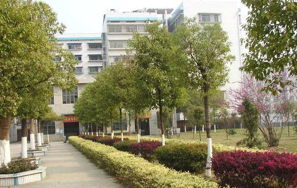 2024保山排名前五的烹飪學(xué)校名單