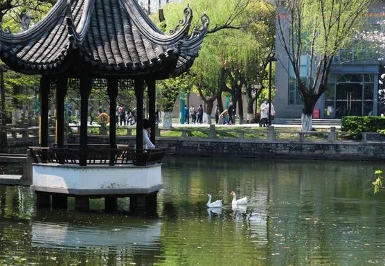 2023江蘇省蘇州中學招生計劃 招生人數(shù)是多少(附要求、條件、對象)