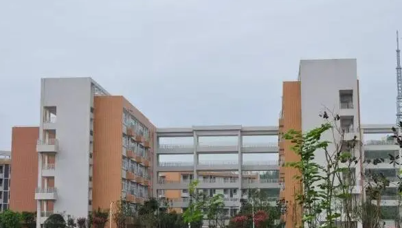 2023樂山排名前八的計算機學校名單