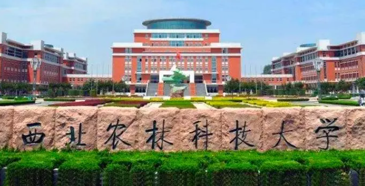 中國大學資源環(huán)境科學專業(yè)排名（研究型）-校友會2023最新排名