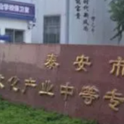 泰安市文化產業(yè)中等專業(yè)學校