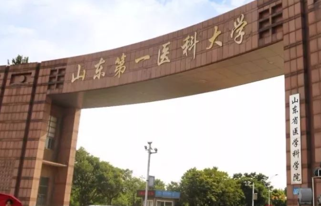 中國(guó)大學(xué)醫(yī)療保險(xiǎn)專業(yè)排名（研究型）-校友會(huì)2023最新排名