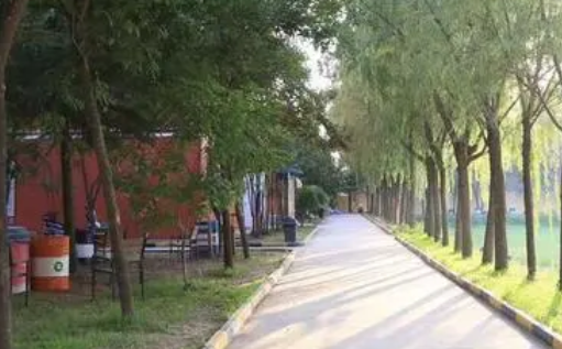 2023西安大中科技技工學(xué)校招生計劃 招生人數(shù)是多少(附要求、條件、對象)