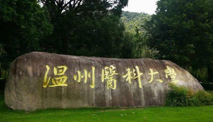 中國大學眼視光醫(yī)學專業(yè)排名（研究型）-校友會2023最新排名