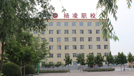 2023咸陽排名前八的新能源汽車學校名單