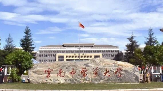 中國大學(xué)傣醫(yī)學(xué)專業(yè)排名（研究型）-校友會2023最新排名