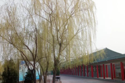 濱州愉悅職業(yè)技術(shù)學校怎么樣、好不好