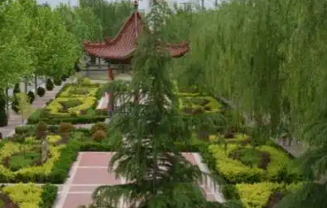 2023芮城縣第一職業(yè)學(xué)校招生計(jì)劃 招生人數(shù)是多少(附要求、條件、對(duì)象)