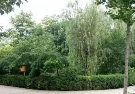 運(yùn)城市實強(qiáng)汽車科技學(xué)校怎么樣、好不好