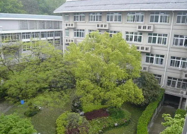 浙江師范大學(xué)附屬中學(xué)怎么樣、好不好