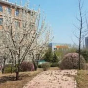 沈陽音樂藝術(shù)學校