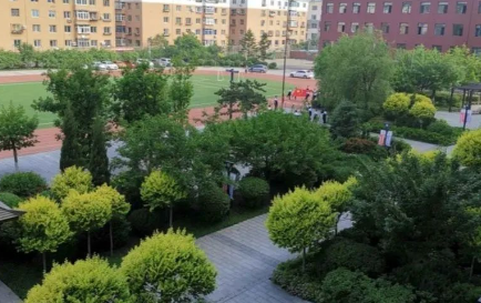 2023沈陽市外事服務(wù)學(xué)校招生計(jì)劃 招生人數(shù)是多少(附要求、條件、對(duì)象)