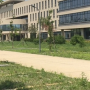 沈陽市科文經(jīng)濟學校