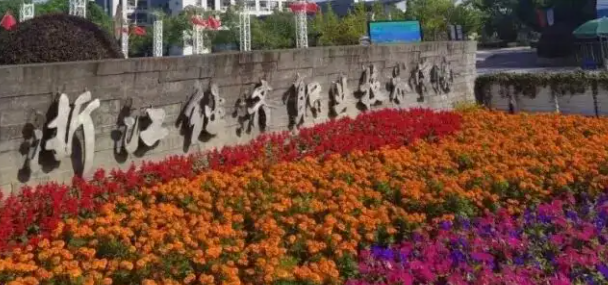 新疆大數(shù)據(jù)與財務管理專業(yè)大學排名及分數(shù)線一覽表
