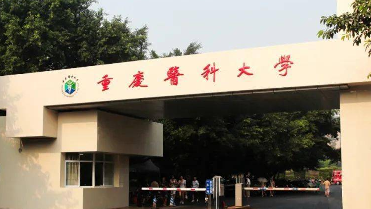 寧夏醫(yī)學(xué)影像學(xué)專(zhuān)業(yè)大學(xué)排名及分?jǐn)?shù)線一覽表