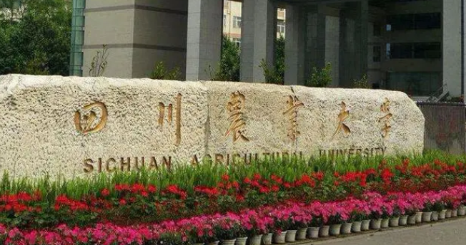 寧夏工程造價(jià)專(zhuān)業(yè)大學(xué)排名及分?jǐn)?shù)線一覽表